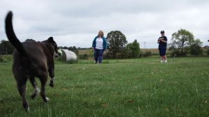 Amanda playing with her son and dog