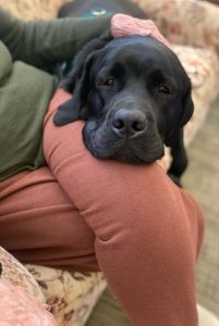 Mars therapy dog