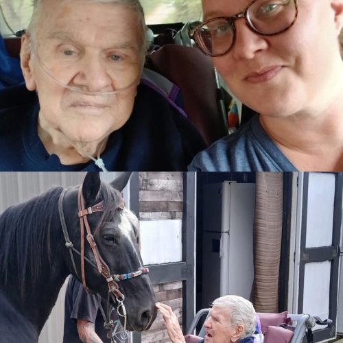 A Ride to Remember: Bill’s Day Out